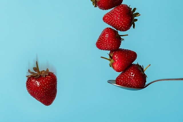 Cara agar buah tidak dihinggapi lalat