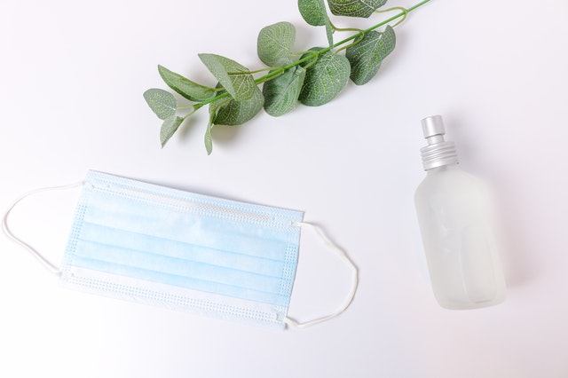 cara membuat hand sanitizer dari daun sirih